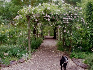 a19 Trellis Lamarque
