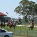 Coonawarra Cup  held on the second Thursday of January each year at the picturesque Penola Race Course